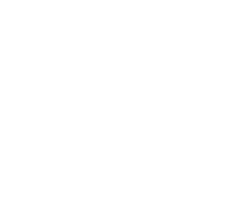 Border3